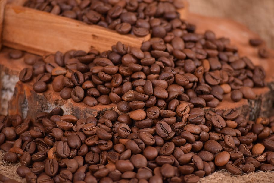 Quel est le meilleur café en grain ?
