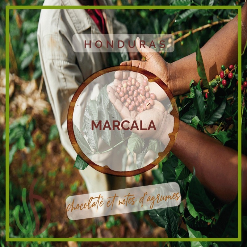 Honduras Marcala bio coffee - TERRES DE CAFE