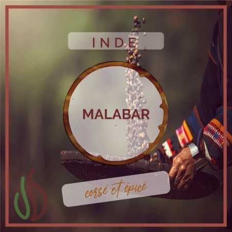 Café_Gourmet_Inde_Malabar_Senseo