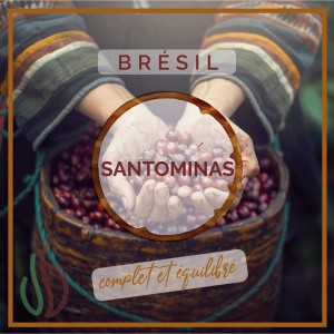 Café du Brésil - Santominas - Senseo