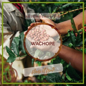 Assemblage BIO - Wachope - Grain ou Moulu