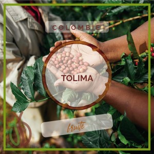 Café de Colombie BIO - Tolima - Grain ou Moulu