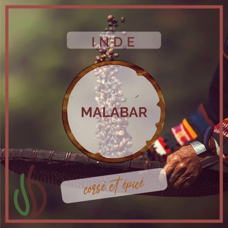 Café_Gourmet_Inde_Malabar_Moulu