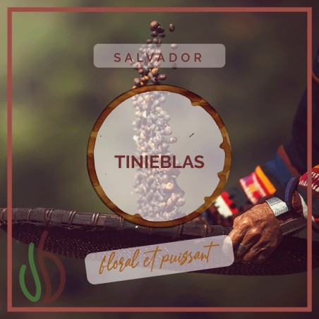 Café_Gourmet_Salvador_Tinieblas_Moulu