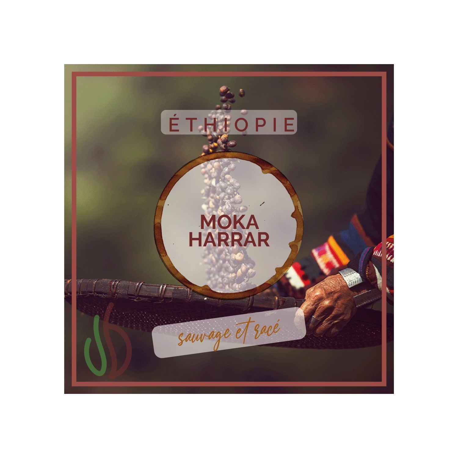 Café_Gourmet_Ethiopie_Moka-Harra_Senseo