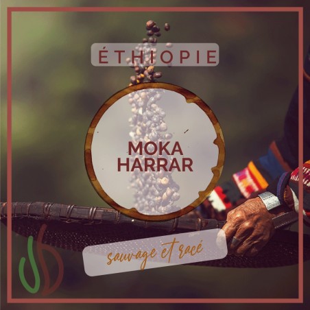 Café_Gourmet_Ethiopie_Moka-Harra_Senseo