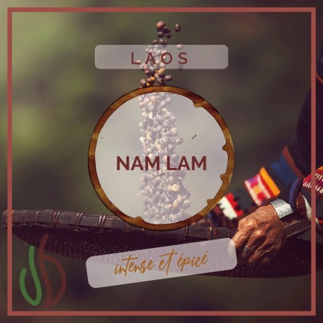 Café_Gourmet_Laos_Nam-Lam_Grain