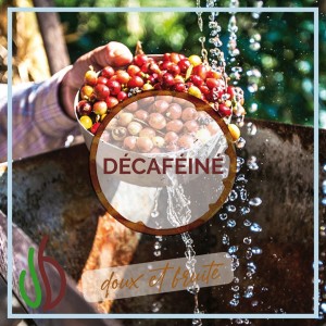 Décafeiné - Senseo