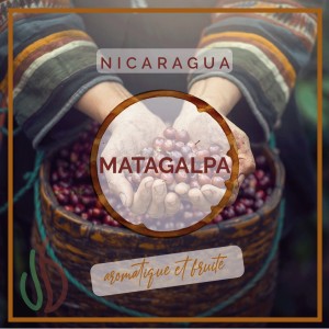 Café du Nicaragua - Matagalpa - Capsules compatibles Nespresso