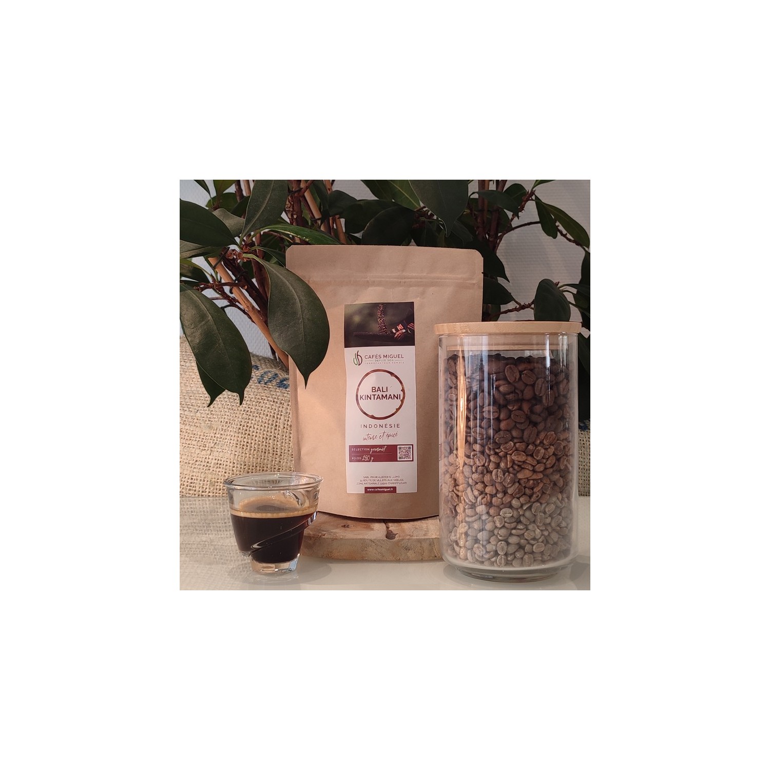 Café_Gourmet_Bali_250gr_Grain
