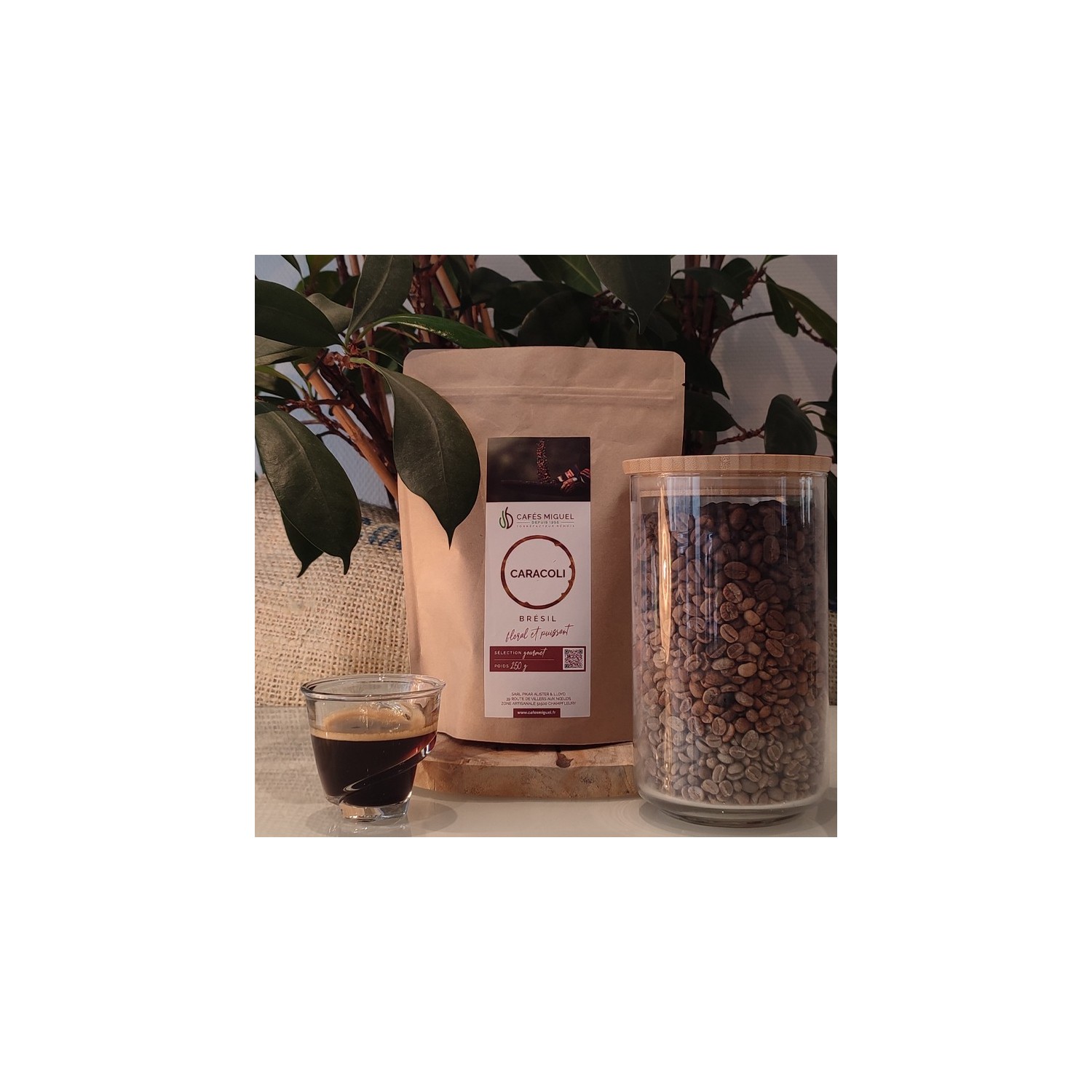Café_Gourmet_Brésil_250gr_Grain