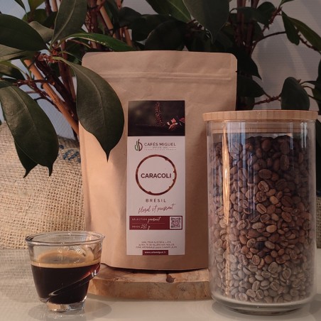 Café_Gourmet_Brésil_250gr_Grain