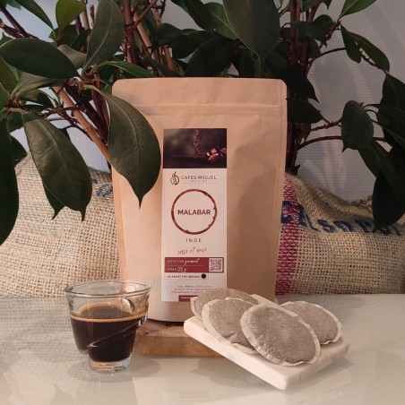 Café_Gourmet_Inde_Malabar_18_Senseo Café_Gourmet_Inde_Malabar_18_Senseo