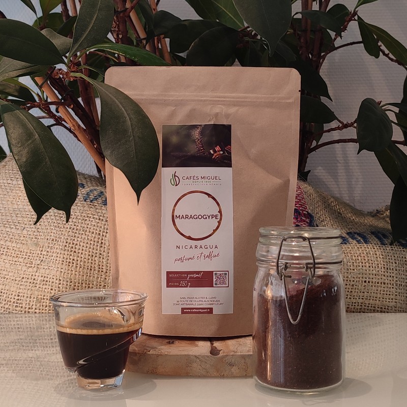 Café_Gourmet_Nicaragua_Maragogype_250gr_Moulu