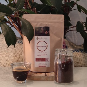 Café du Nicaragua - Maragogype - Café Moulu