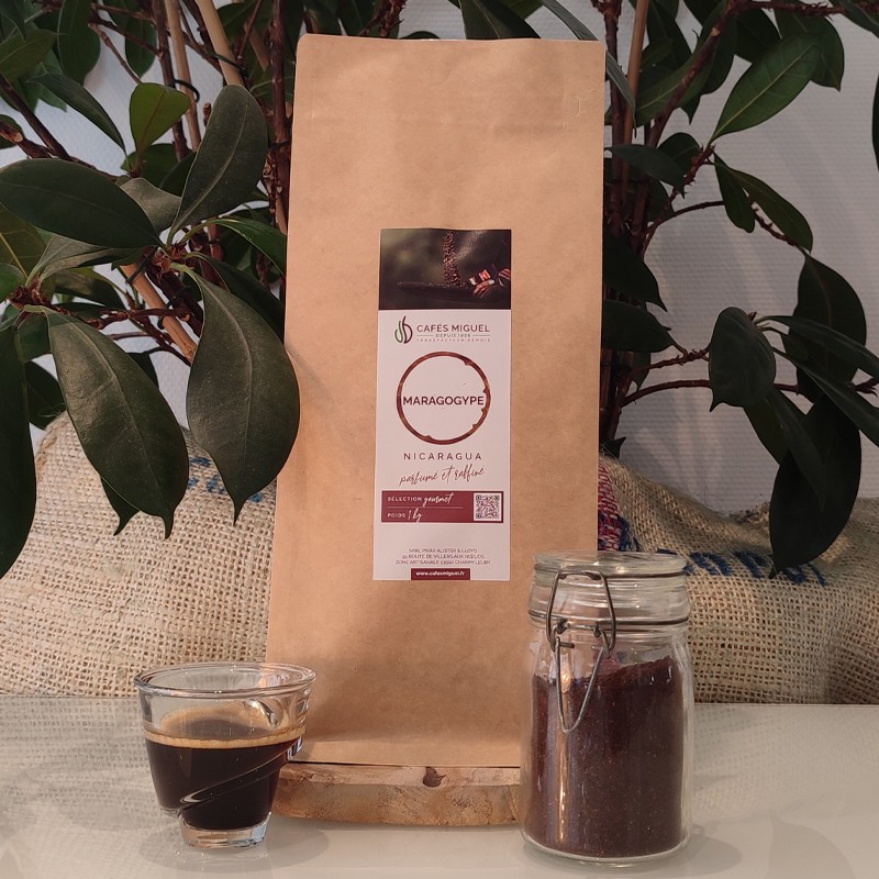 Café_Gourmet_Nicaragua_Maragogype_1kg_Moulu