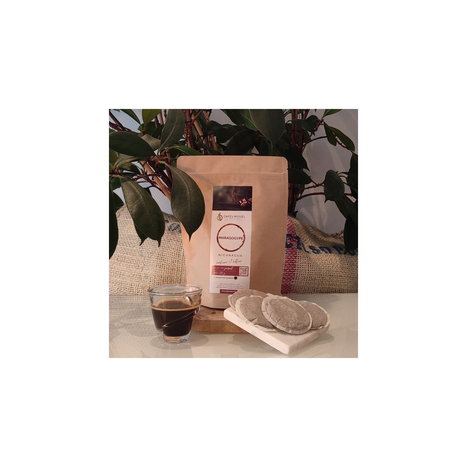 Café_Gourmet_Nicaragua_Maragogype_18_Senseo