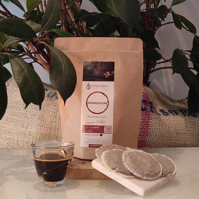 Café_Gourmet_Nicaragua_Maragogype_18_Senseo