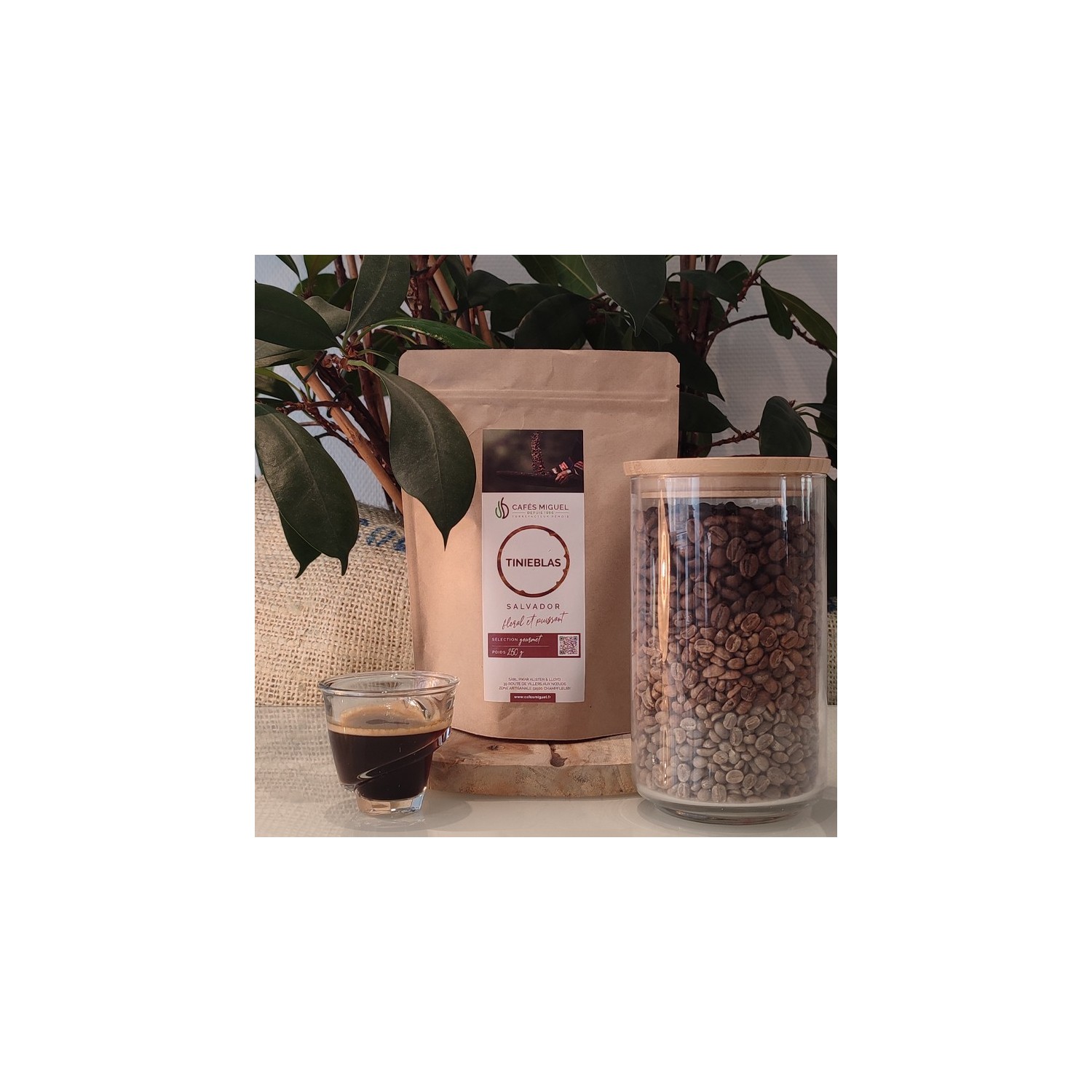 Café_Gourmet_Salvador_Tinieblas_250gr_Grain