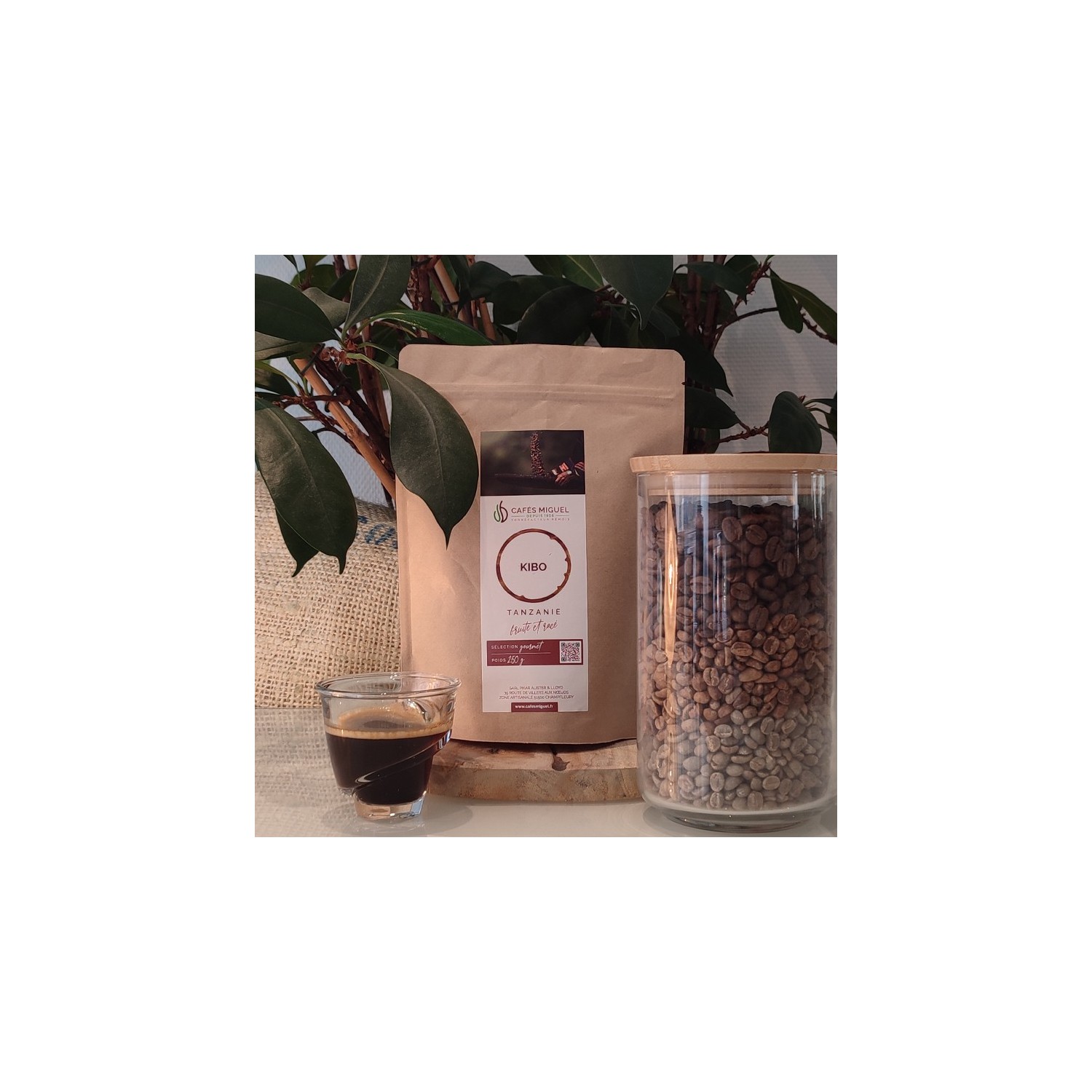 Café_Gourmet_Tanzanie_Kibo_250gr_Grain