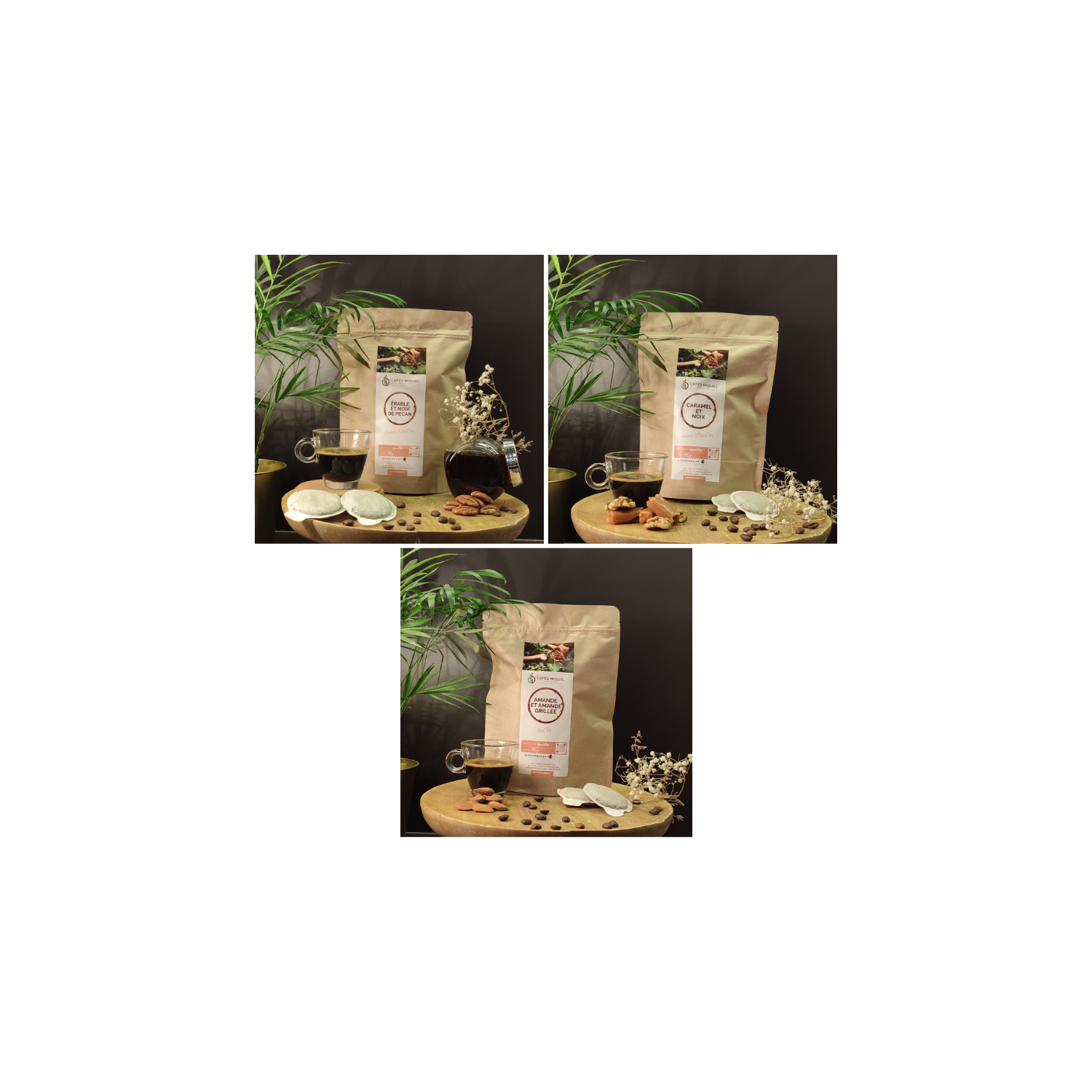 Coffret découverte coque 25 ESE