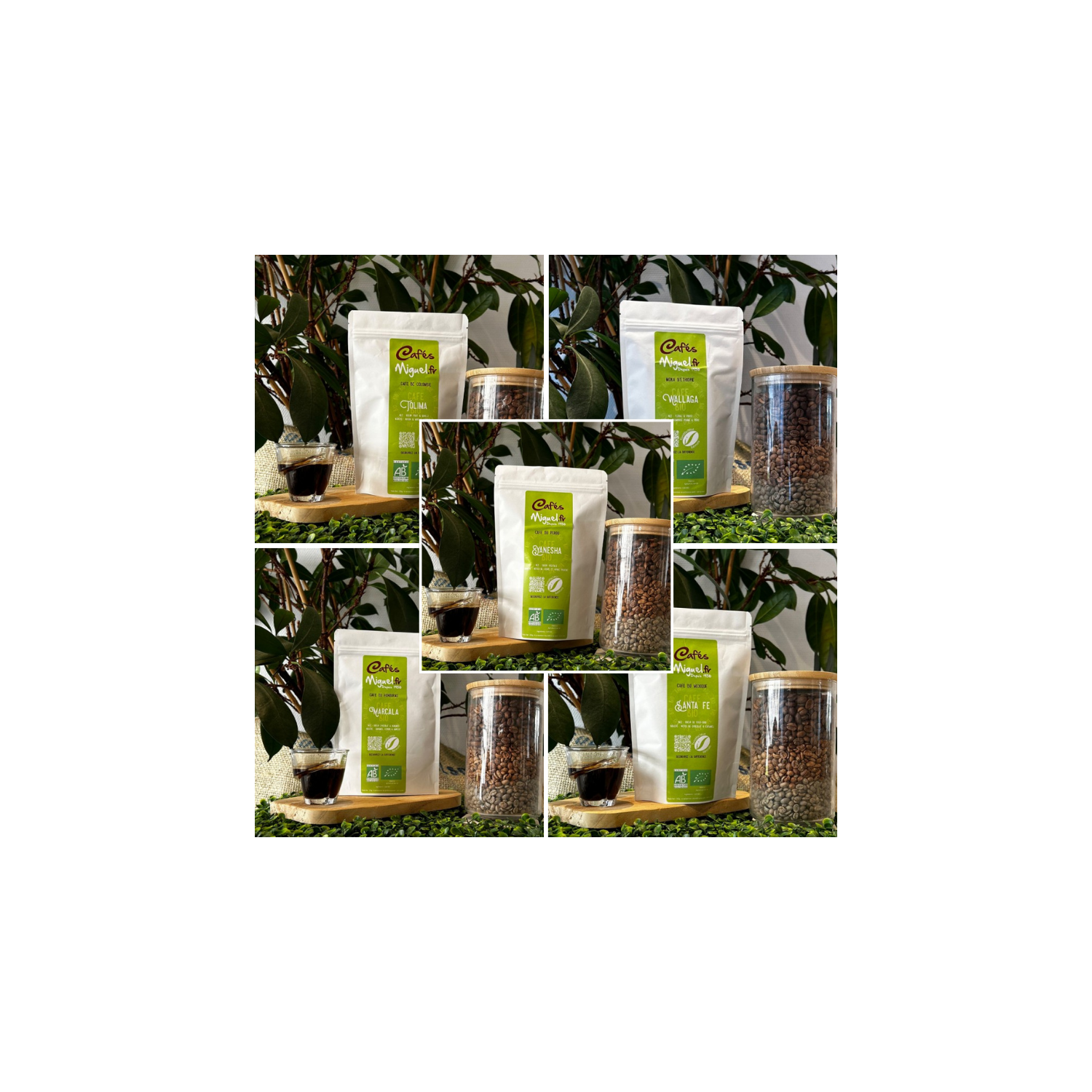 Coffret Découverte - "Origine BIO" - Café en Grain