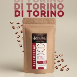 Assemblage - Di Torino -...