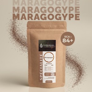 Café du Nicaragua - Maragogype - Café Moulu